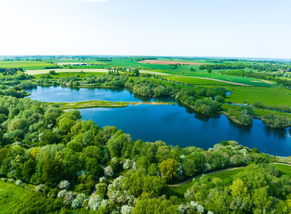 Growth Lancashire Launches New Ecology Service to Strengthen Local Nature Protection and Biodiversity